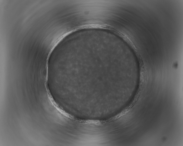 X0000115320844200911301556