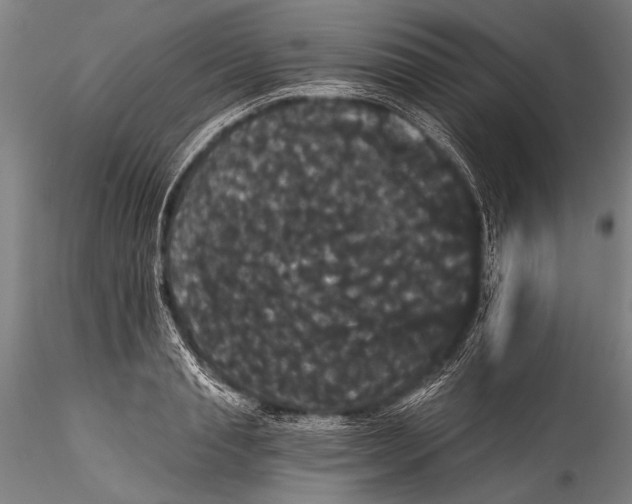 X0000115320845200911301556