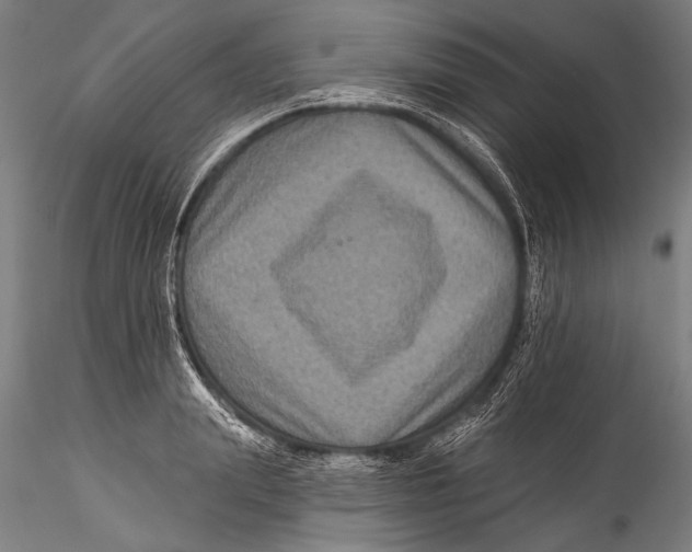 X0000115320847200911301556