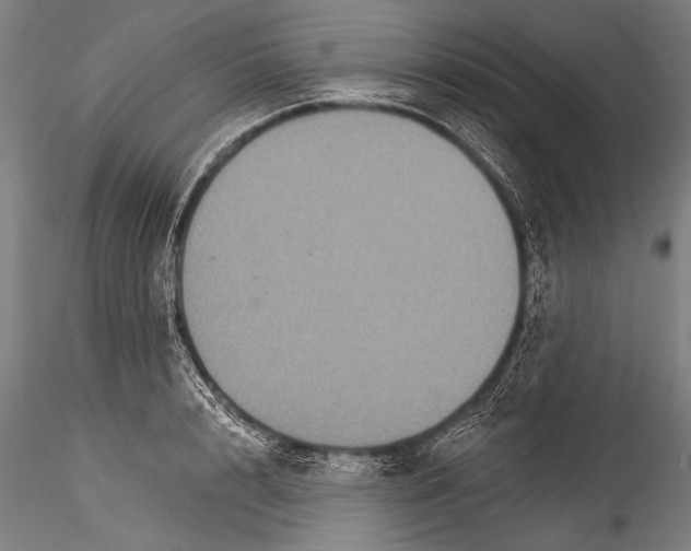 X0000115320848200911301556