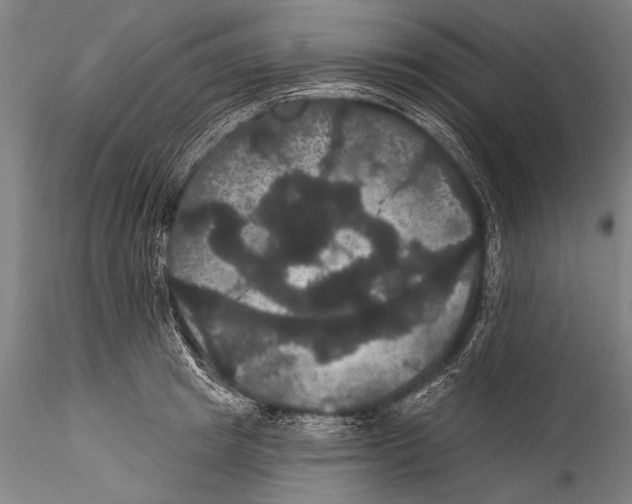 X0000115320849200911301556