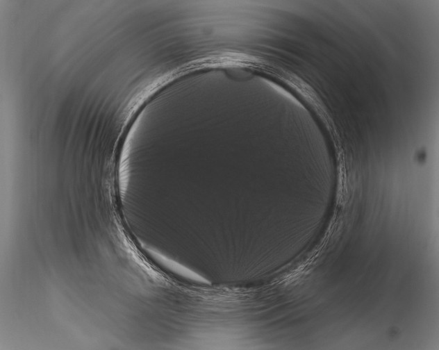 X0000115320850200911301556