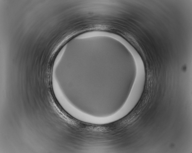 X0000115320851200911301557