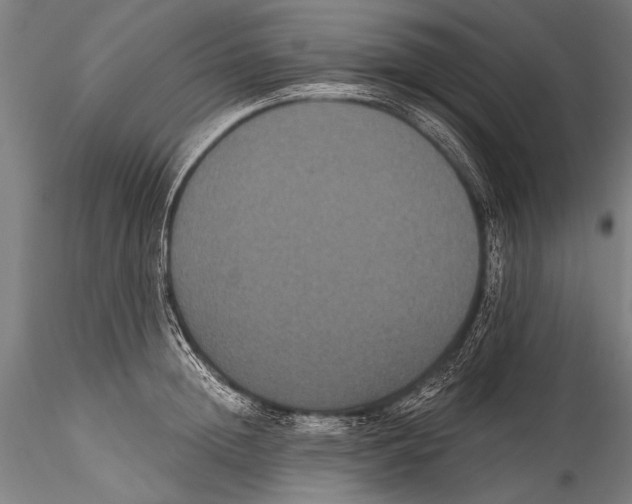 X0000115320852200911301557