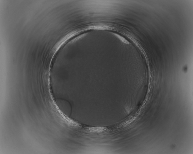 X0000115320853200911301557