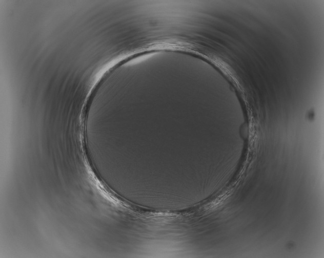 X0000115320854200911301557