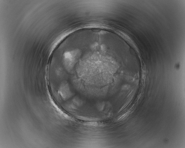 X0000115320855200911301557