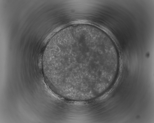 X0000115320857200911301557