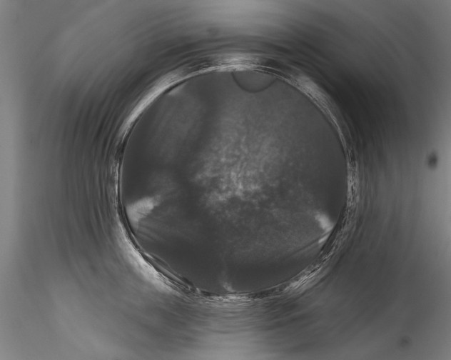 X0000115320859200911301557