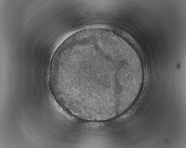 X0000115320860200911301557