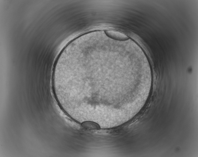 X0000115320861200911301557