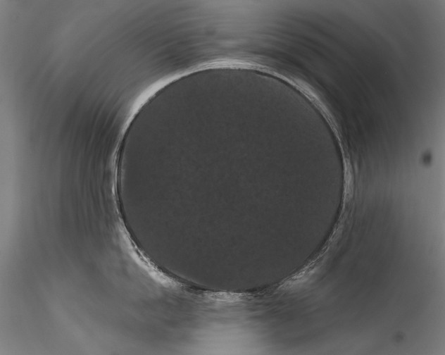 X0000115320862200911301557