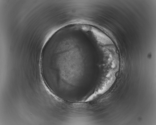 X0000115320863200911301557