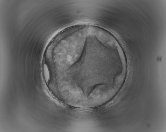 X0000115320864200911301557