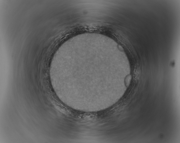 X0000115320865200911301556