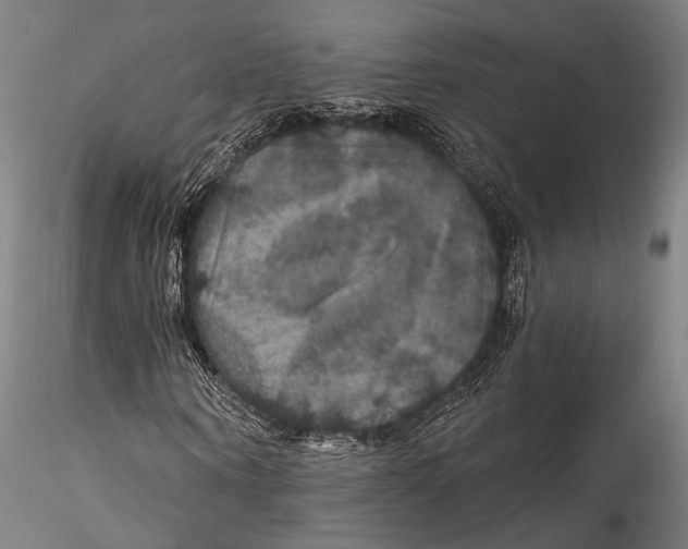 X0000115320866200911301556