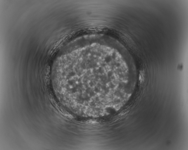 X0000115320867200911301556