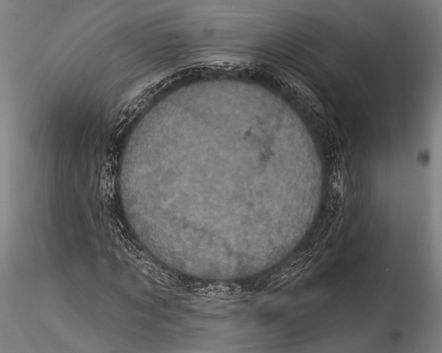 X0000115320869200911301556