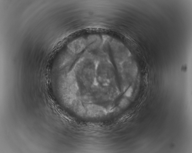 X0000115320870200911301556