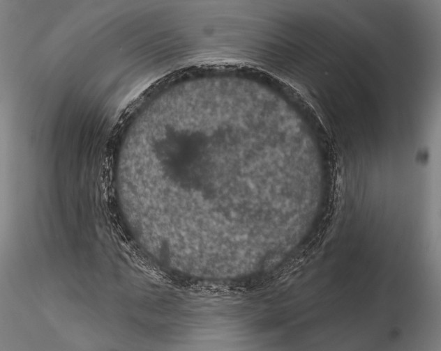 X0000115320871200911301556