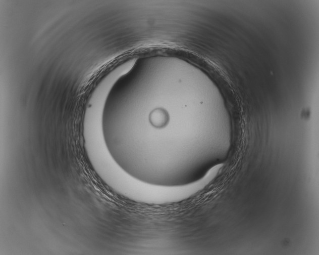 X0000115320872200911301556