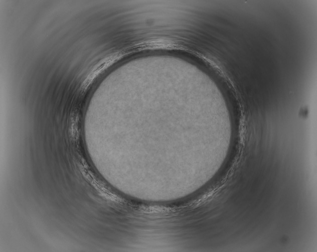 X0000115320873200911301556