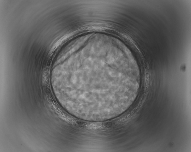 X0000115320874200911301556