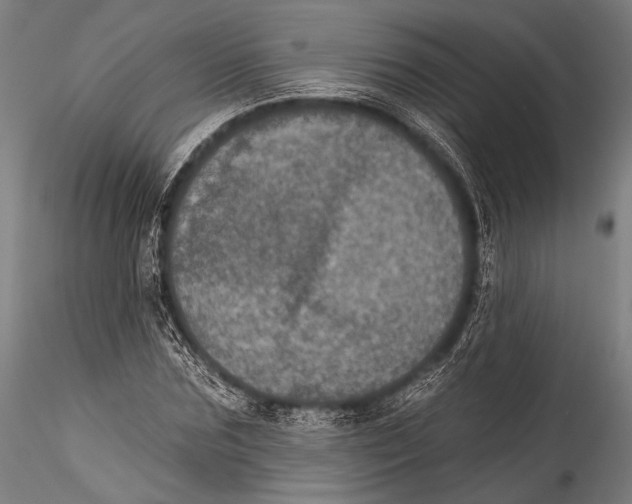 X0000115320875200911301556