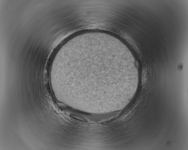 X0000115320876200911301556