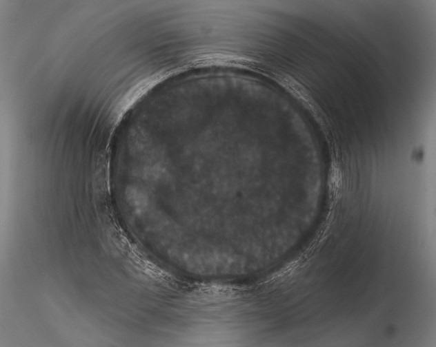 X0000115320877200911301556