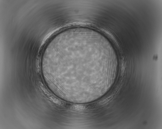 X0000115320878200911301556