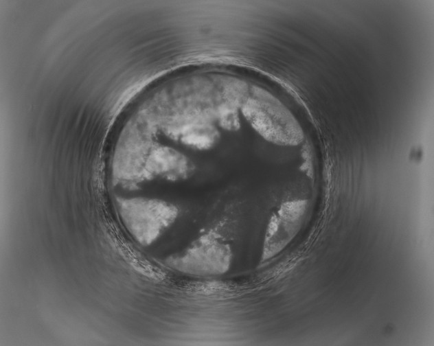 X0000115320879200911301556