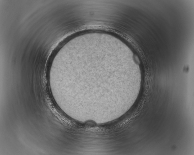 X0000115320880200911301556