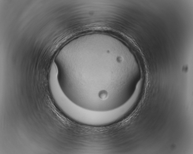 X0000115320881200911301556