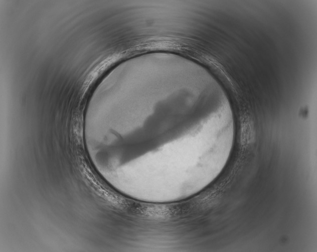 X0000115320882200911301556