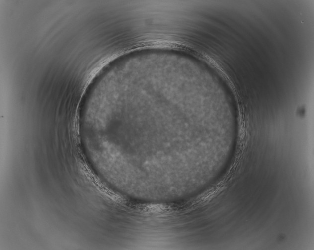 X0000115320883200911301556