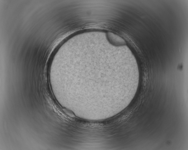 X0000115320884200911301556