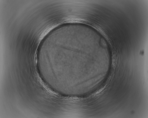 X0000115320885200911301556