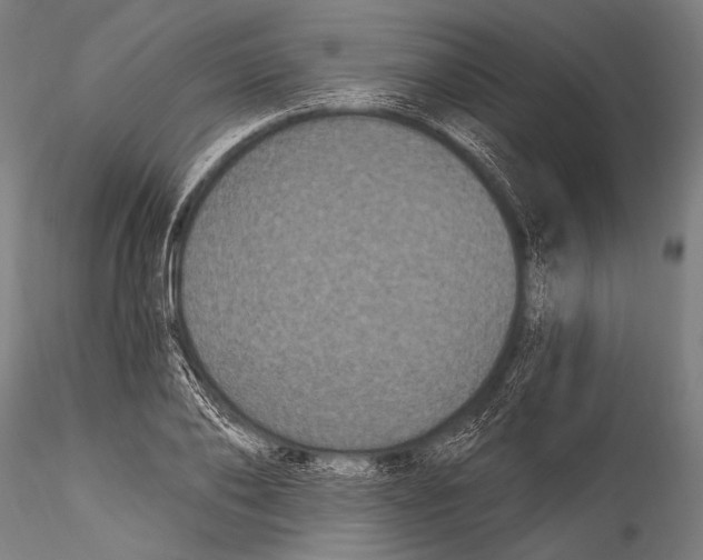 X0000115320886200911301556