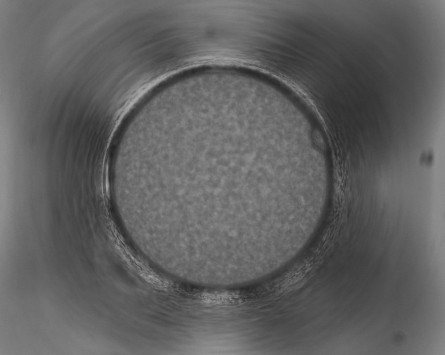 X0000115320887200911301556