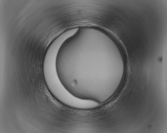 X0000115320889200911301556