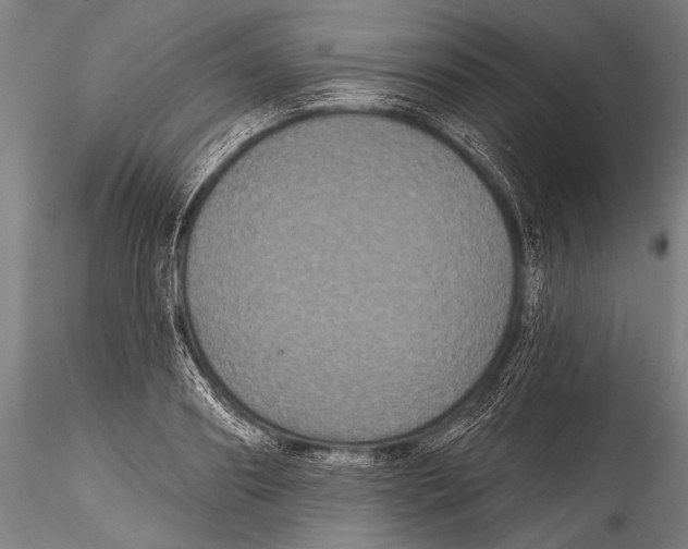 X0000115320890200911301556