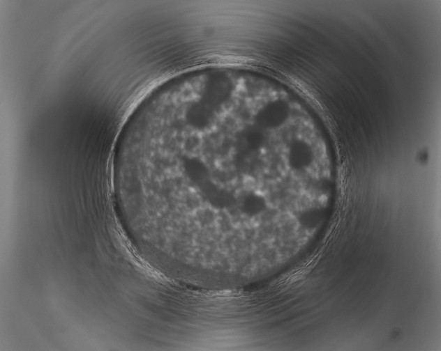 X0000115320891200911301556