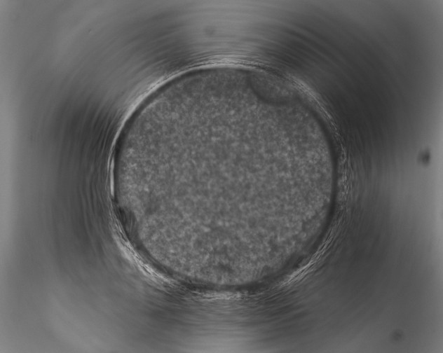 X0000115320892200911301556