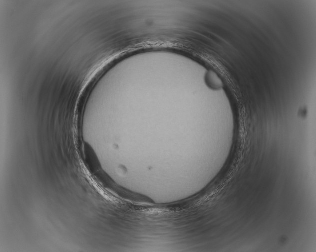 X0000115320894200911301556