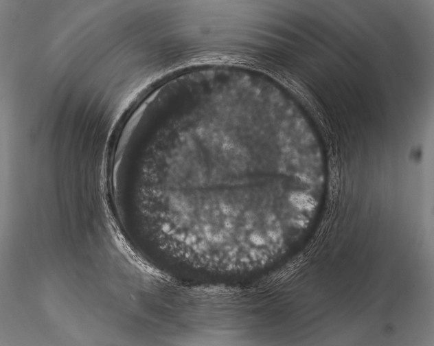 X0000115320896200911301556