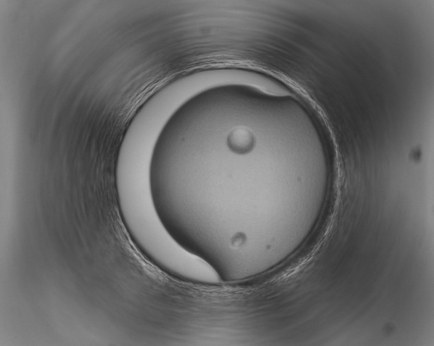 X0000115320897200911301556