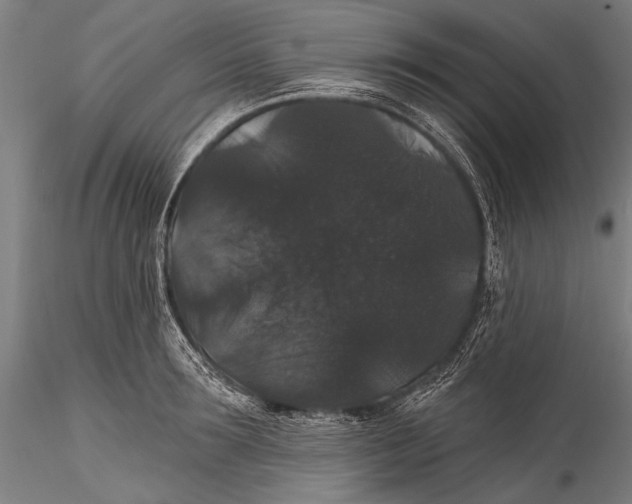 X0000115320899200911301556