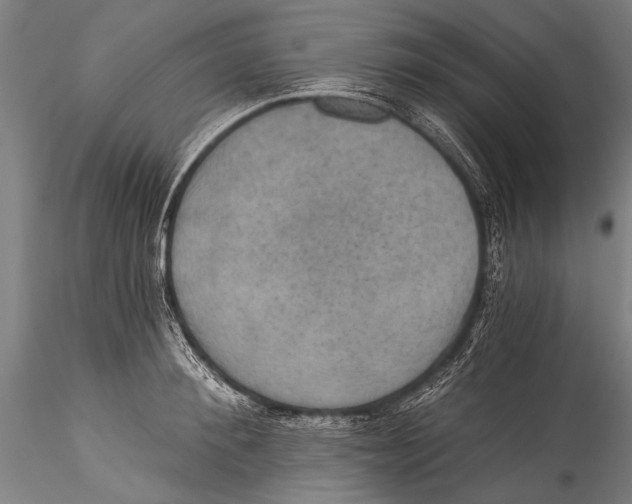 X0000115320900200911301556