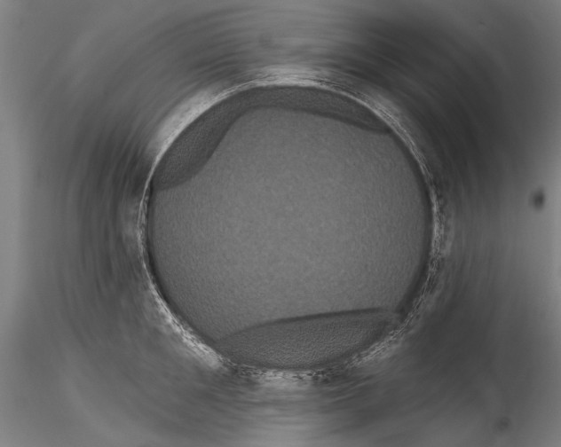 X0000115320901200911301556